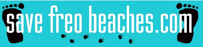 The South Freo Beaches logo, with the aforementioned words and footprints on a blue background.
